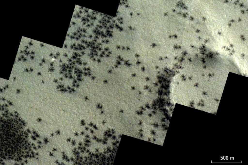 Mars Spider