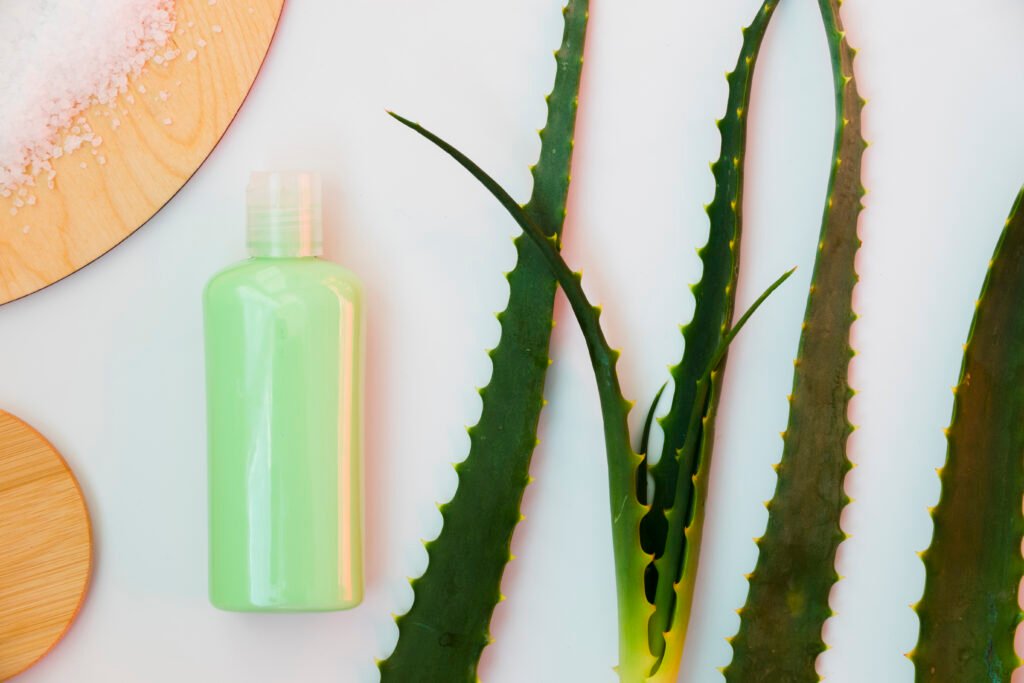 The Amazing Benefits of Aloe Vera for Skin Care