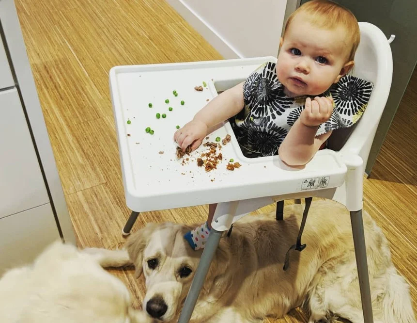 Why a Toddler Was Found in the Hallway at 6 AM - Hilarious Footage Reveals The Truth