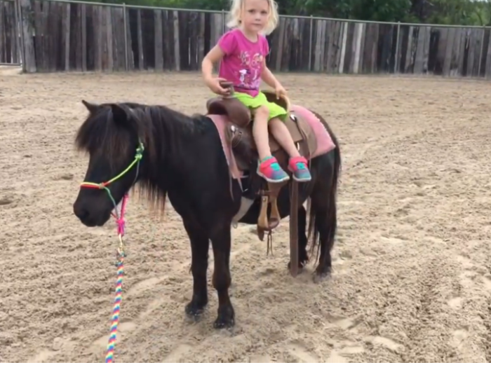 Screenshot 2024-09-04 170656 Astonishing pony trick riding in Texas