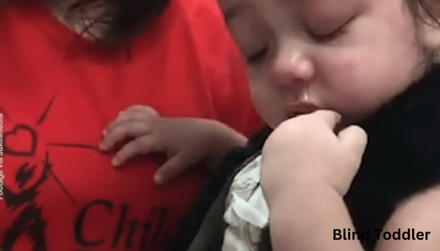 Blind Toddler Sees Her Mother for the First Time